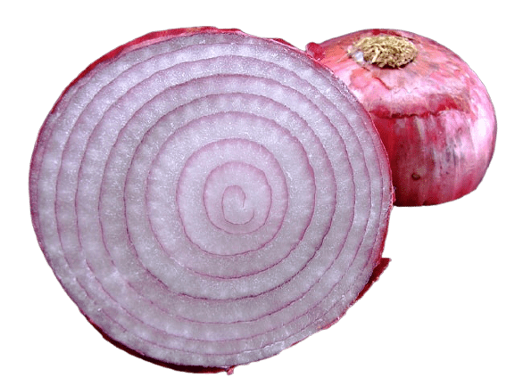Onion Architecture for Enterprise Application